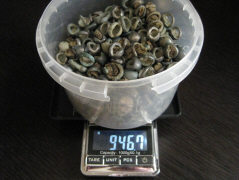 Вес мелких бляшек