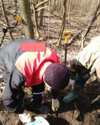 Поиск кладов