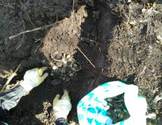 находка клада