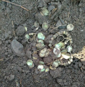 находка клада