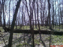 Половецкая сабля «Ордынка» 12-14 век