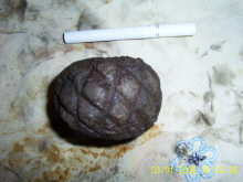 Железная округлая булава с шипами