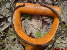 Железная гривна