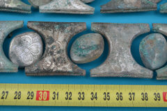 сегменты «Пшерворского пояса»