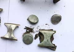 бляхи «Пшерворского пояса»