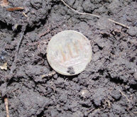 Дореформа и послереформа самые частые гости из монет.