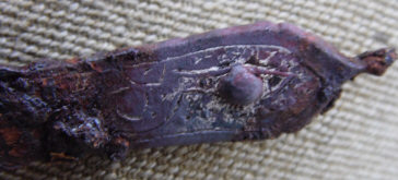 Орнамеент и элементы оформления древнерусской конской сбруи