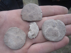 Находка свинцовых вислых печатей Древней Руси