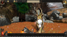 Эльфийский Страж Границы Disciples III