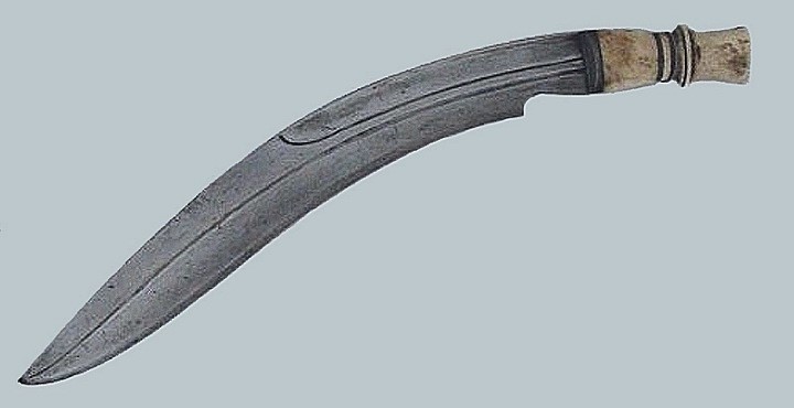 Ранний кукри без кауди