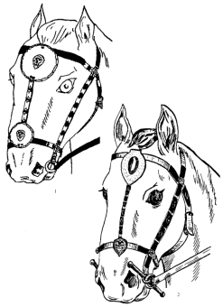 Украшение конской сбруи кочевой знати