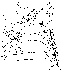 Участок малого городища, на котором велись исследования в 2000 г.