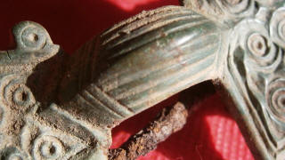 Соединительная дужка фибулы