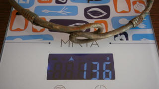 Шейная гривна анты или венеды