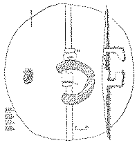 Общий вид и профиль кургана № 2. Условные обозначения: 1 — остатки тризны; 2 — материковый выкид из погребения; 3 — погребенный чернозем; 4 — материк.