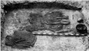 Общий вид погребения № 1 кургана у с. Красный Подол