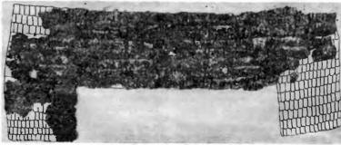 Чешуйчатый набедренник из погребения № 1 кургана у с. Красный Подол на Херсонщине