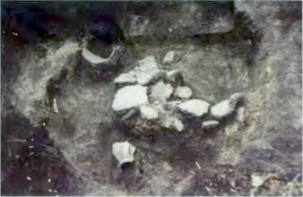 Сидоровское городище. Раскоп 5. Хоз яма 1. Керамика в заполнении комплекса.