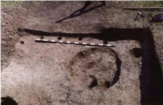 Сидоровский археологический комплекс. Южная часть помещения 7. Виден ряд ямок от жердевой конструкции южной стены.