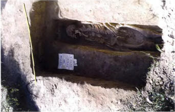 Сидоровский археологический комплекс. Могильник 1. Раскоп 11. Погребение 201.