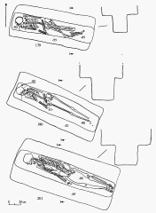 Могильник 1. Раскоп 11. Чертежи погребений №№ 179, 180, 201.