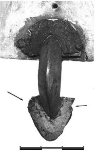 Следы старых отверстий на основаниях дужек составных фибул (кат. №7).