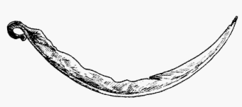 Складной серп из могильника Ветрово