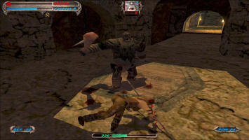 Это амазонка в игре Клинок Тьмы