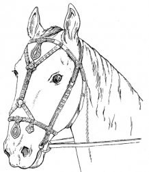 Снаряжение всадника и верхового коня на Руси IX-XIII вв