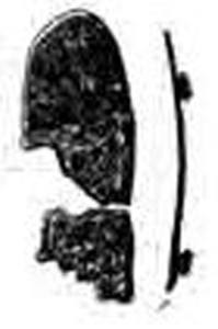 Пластина двухзаклепочного доспеха