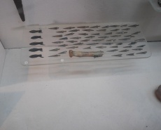 Посетил Херсонский краеведческий музей