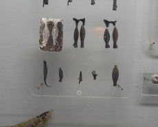 Посетил Херсонский краеведческий музей