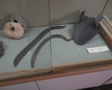 Посетил Херсонский краеведческий музей