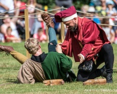 Рыцарский турнир Destrier 2016 в замке Хедингем