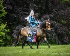 Рыцарский турнир Destrier 2016 в замке Хедингем