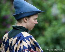 Рыцарский турнир Destrier 2016 в замке Хедингем