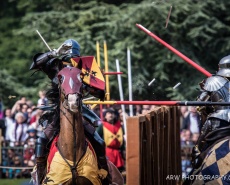 Рыцарский турнир Destrier 2016 в замке Хедингем