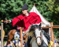 Рыцарский турнир Destrier 2016 в замке Хедингем