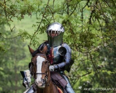 Рыцарский турнир Destrier 2016 в замке Хедингем