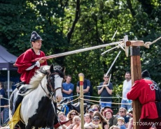 Рыцарский турнир Destrier 2016 в замке Хедингем
