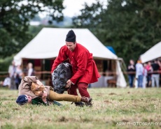 Рыцарский турнир Destrier 2016 в замке Хедингем