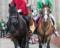 Рыцарский турнир Destrier 2016 в замке Хедингем