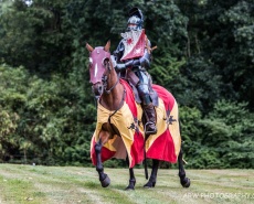 Рыцарский турнир Destrier 2016 в замке Хедингем