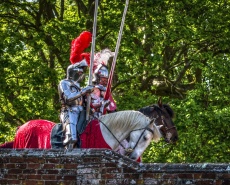 Рыцари на конях и в доспехах