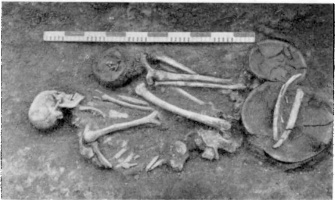 Поховання епохи пізньої бронзи