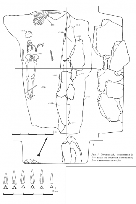 Курган 28 захоронения 2: 1 - план и сечение захоронения; 2 - наконечники стрел